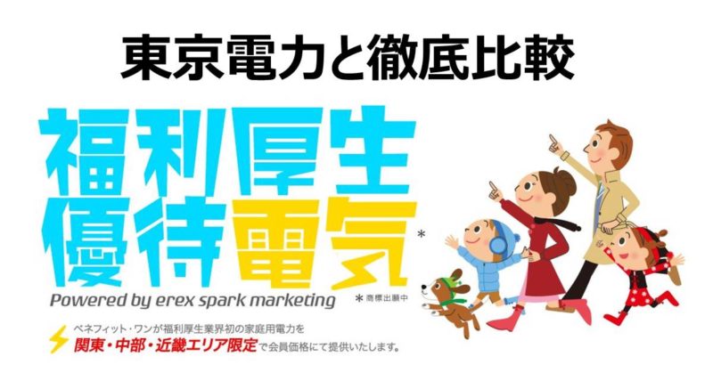 fukurikouseiyutaidenki-price